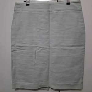 Ann Taylor Light Mint Pencil Skirt